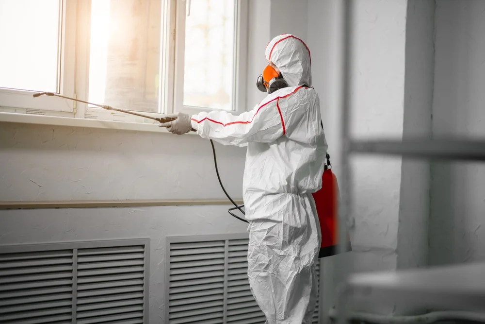 Professional mold remediation services in Pelham, AL